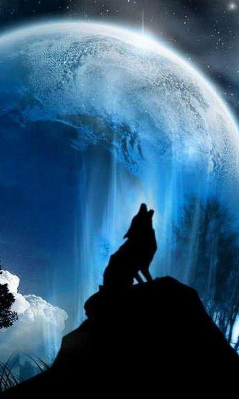 HD Wallpaper theme Studio 3D Blue fire wolf theme APK for Android Download HD Wallpaper theme Studio 3D Blue fire wolf theme APK for Android Download