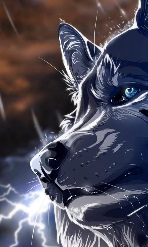 HD Wallpaper theme Studio 3D Blue fire wolf theme APK for Android Download