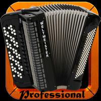 Accordion play اسکرین شاٹ 2