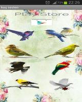 Bird sounds โปสเตอร์