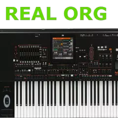 real organ playing APK download