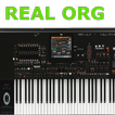 ”real organ playing