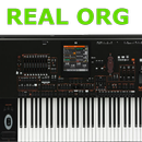 真正的风琴演奏 APK