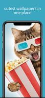 Cats wallpapers HD 4K 포스터
