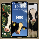 Cute Cow Wallpaper 4K APK