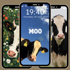 Cute Cow Wallpaper 4K আইকন