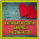 Kata Kata Cinta Santri Paling  APK