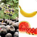 Guess the Fruit APK