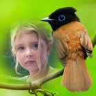 Birds Photo Frames icon