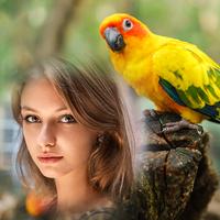 Birds Photo Frames poster