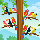 Bird Color:Sort Puzzle Game