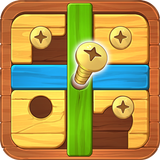 Bolts Adventure: Puzzle Game ícone