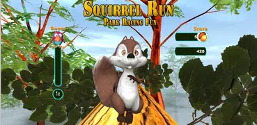 Run Squirrel - Fun Park Racing