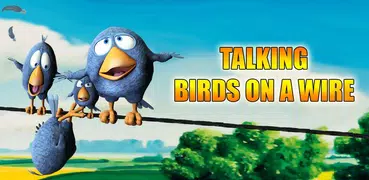 Talking Birds On A Wire