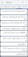 Nahjul Balagha Urdu نہج البلاغہ اردو скриншот 3