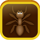 Tiny Ants aplikacja