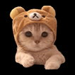 Cat Stickers for WA - Sticker