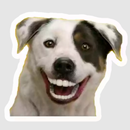 Dog Stickers APK