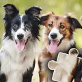 Dog and Cat Puzzle