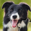 Dogs & Cats Puzzles for kids APK