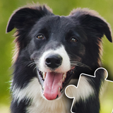 Dogs & Cats Puzzles for kids Zeichen