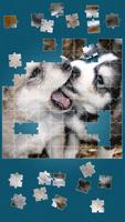 Chien Mignon-Puzzle De Chiens capture d'écran 2