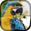 Oiseaux Jeux de Puzzle APK