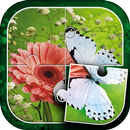 Papillon Jeux De Puzzle APK