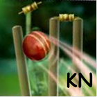 Cricket Launcher icône