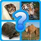 Scientific name quiz-Animals icône