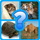 Scientific name quiz-Animals ikon