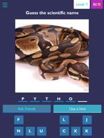 Scientific name quiz-Animals Cartaz