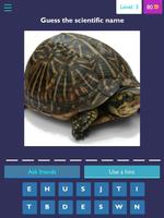 Scientific name quiz-Animals ภาพหน้าจอ 1