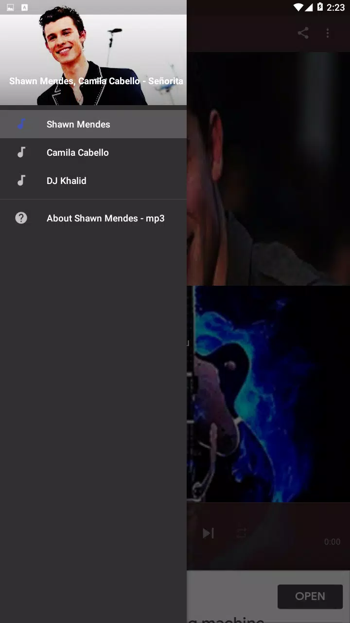 Shawn Mendes Offline ~ New Mp3 & Friends APK pour Android Télécharger