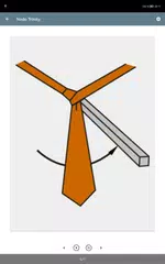 download Enciclopedia delle cravatte XAPK