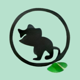 Money - budget app APK