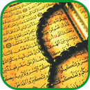 Ruqyah Mp3 Offline - 25 Sheikh-APK