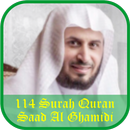 Saad Al Ghamidi 114 SurahQuran APK