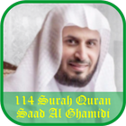 Saad Al Ghamidi 114 SurahQuran ikona