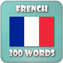 フランス語 単語 APK