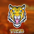 Tiger VPN - BD VPN - Get BD IP