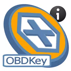 OBD ECU Access Tester