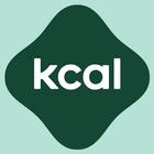 Kcal Body Assessment 아이콘