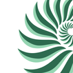 My Kelp icono