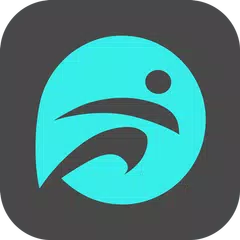 FunDo Pro APK 下載