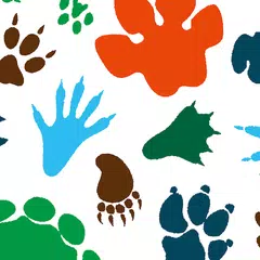 download one zoo APK