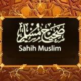 Sahih Muslim icono