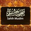 Sahih Muslim (Deutsch)