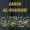 Sahih Al Bukhari (Deutsch) آئیکن