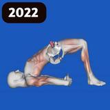 Kegel Exercises For Men icono